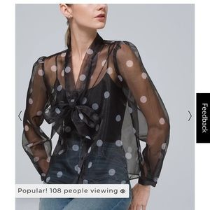 Organza Dot Blouse